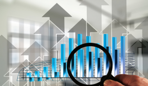 Net revenue and Gross revenue