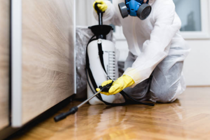 What is Pest Control and Why do you need regular pest control