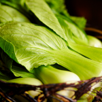 Prefer Plant Based food over Meat