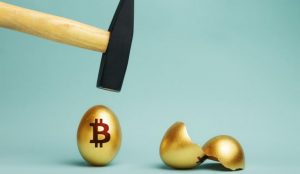 The History Problems and Decline of Bitcoin Private