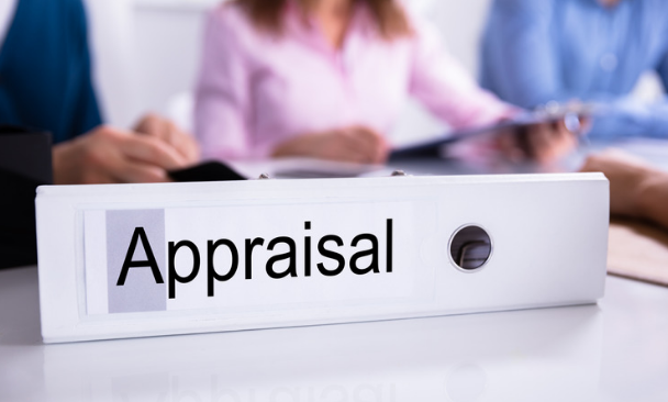 Why do Employees Dislike Appraisals