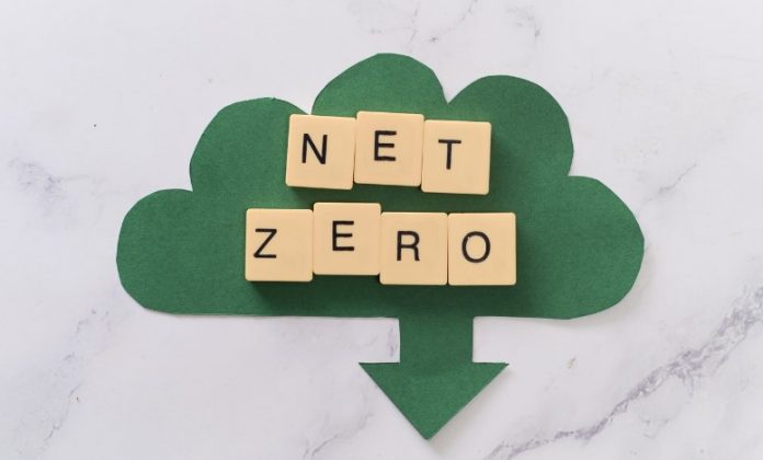 How Can My Business Reach Net Zero
