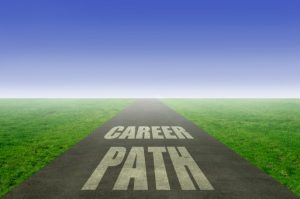 Reasons You Should Consider Becoming A CPA - Variety of career paths