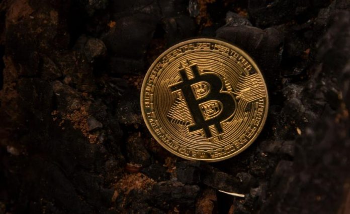 6 Helpful Tips from The Bitcoin Gurus