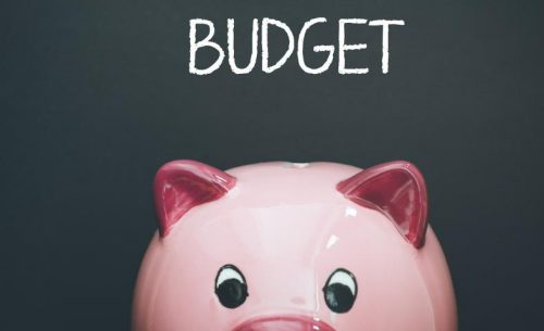 Budget for large expenses in advance