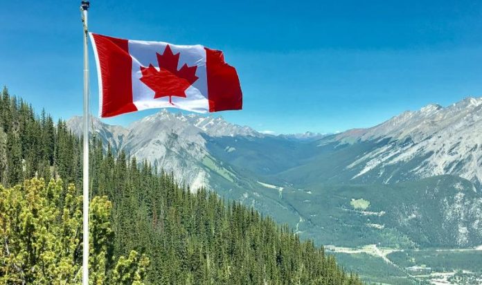 Moving to Canada for work - Here’s How You Can