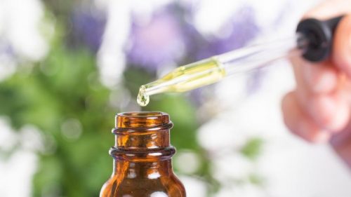 The Best Essential Oils for Christmas - Essential oil of pine needle