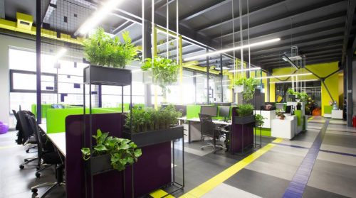 Office indoor plant decor