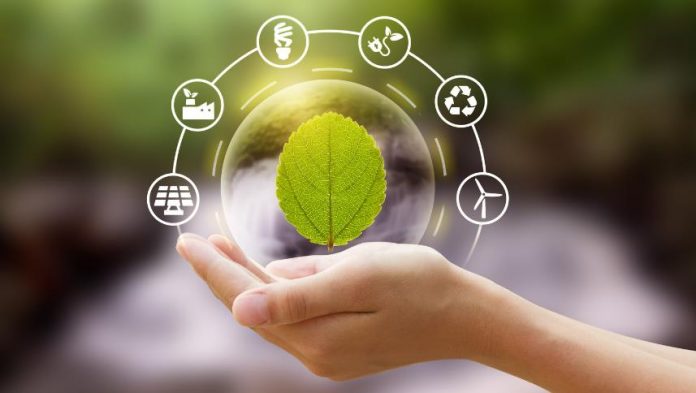 Essential Tips for Ensuring Business Sustainability and Environmental Friendliness