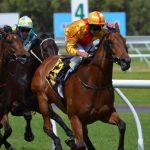 Profitability of the Horse Racing Sector in the UK