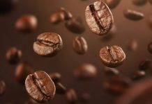 How to Choose the Best Coffee Beans? How to Choose the Best Coffee Beans