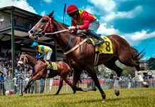 Why the Grand National is Such a Huge Staple of British Tradition on the Sporting Calendar? grand national