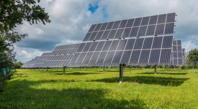 How Solar Energy is Powering the Future of UK Businesses
