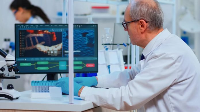 how pk modeling tool optimizes drug development workflows