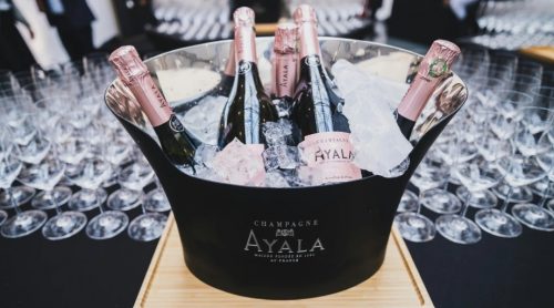 Serving, Temperature, and Pairing Tips