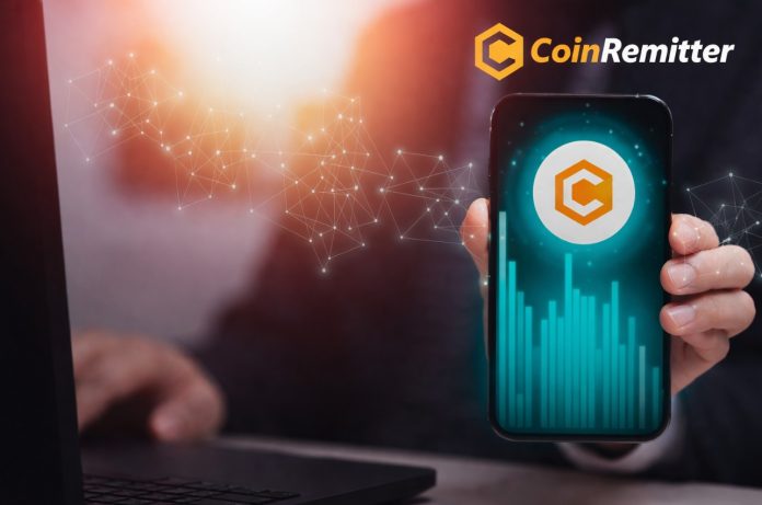 CoinRemitter Features for Effortless Crypto Payment Integration CoinRemitter Features for Effortless Crypto Payment Integration